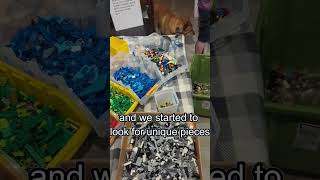 I Found a RARE LEGO Set in This Random Bucket! (Part 2)