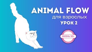 Упражнения для кистей и пальцев рук Энимал флоу /Animal Flow