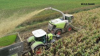 Claas Jaguar 950 & MAN, IVECO, Claas, MF,NH, 2x PRINOTH Leitwölfe