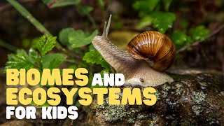 Biomes and Ecosystems for Kids | Learn about the different types of ecosystems and biomes