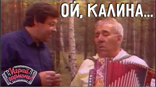 Играй, гармонь! | Ой, калина... | Иван Плешивцев и Геннадий Заволокин | 1992