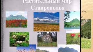 География. Тема урока: "Растительный мир Ставропольского края"