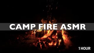 Camp Fire ASMR - 1 hour of campfire