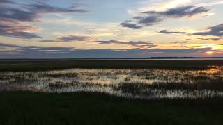 Sunset over the marsh