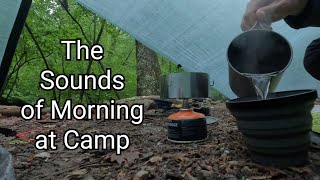 The Sounds of Morning at Camp (Hiking with a Dog)