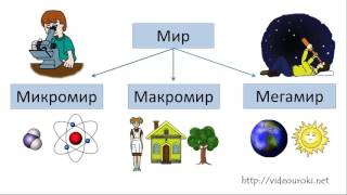 01  Информация в живой и неживой природе