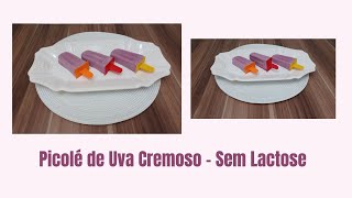 Aprenda a Fazer um Delicioso Picolé de Uva Cremoso – Sem Lactose 😍😀/ Sandra Palma