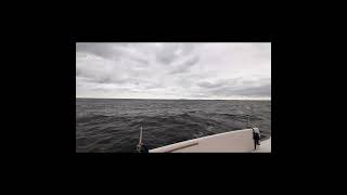 Segeln auf der Ostsee / Sailing on Baltic Sea