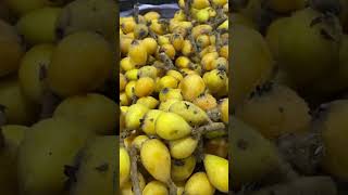 KAPAN TERAKHIR KALI MAKAN BUAH INI? #fruit #medanviral @AndriSaputro21