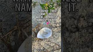 💕🌊 Japanese Friendship Seashell😍🫶🏻🇯🇵 #beach #seashells #beachcombing #shells  #friends