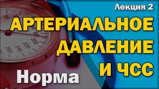 Что такое артериальное давление и частота сердечных сокращений, и от чего они зависят [S06E02]