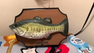 Big mouth billy bass (fast tail variant) #singingfish