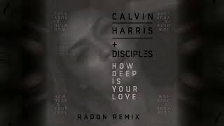 Calvin Harris, Disciples - How Deep Is Your Love (Radon Remix)