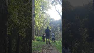 പെരിയാർക്കാട്#viral#wildlife#periyar #shots#shortsfeed#viralreels#shots#trending#jungle#eco#yt#short