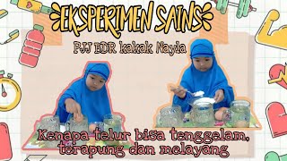 Eksperimen sains, kenapa telur bisa tenggelam, terapung dan melayang???