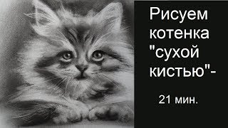 Как нарисовать котенка урок рисования сухой кистью. Учимся рисовать животных, создаем рисунок кота