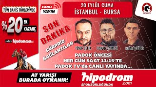 20 Eylül 2024 // SON DAKİKA - Bursa - İstanbul // Yener Çelik - Naim İşgören