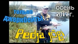 Pedja jõgi.  Щука в октябре на джеркбейты .С берега на малой реке.