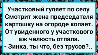 Как Жена Председателя Картошку Копала! Большой Сборник Свежих Смешных Жизненных Анекдотов!