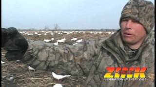 Snow Goose Spreads Using Fewer Decoys