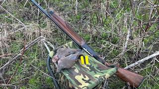 Batting 1000 (2/2)! NC Dove Hunting #subscribe #hunting #viral #dovehunting #dove