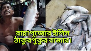 Ranna Puja 2023 | Ilish fish hat at thakurpukur bazaar2023 | Kolkata Hilsa fish Price2023|