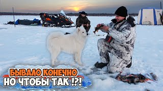 ЖИВЁМ В ТУНДРЕ НА ЛЬДУ \ Я В АХ... ТАКОГО КЛЁВА НЕ ПРИПОМНЮ \ ТРЕЩАЛИ ЛЕСКИ, КРОШИЛИСЬ УДОЧКИ