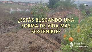 ¿Estás buscando una forma de vida más sostenible