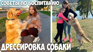 💞КАК ВОСПИТАТЬ ПОСЛУШНУЮ СОБАКУ🐶 СОВЕТЫ и КОМАНДЫ от МЕНЯ и АЛИНЫ!