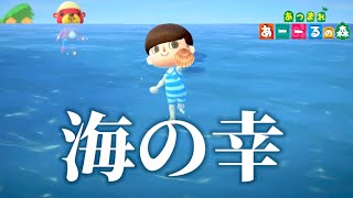 【あつ森】海の幸すべて捕まえてみた。【あつまれどうぶつの森】