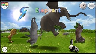 Learn About Animals - Baby Fun Game With Real Animals | GameKids HD