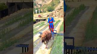 God Makes Superman Into BULL And Bull Into Superman in GTA 5 😱 #shorts #shortsfeed