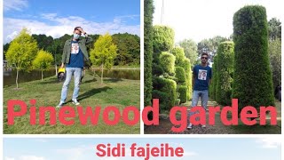 Pinewood garden |ngariyan ching | mafmse Fajabra haibado video matak khra yngminase mym