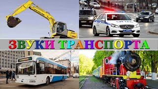 Звуки транспорта. Транспорт и техника для детей . Развивающее видео для малышей про машинки