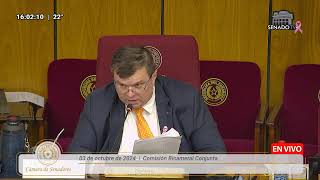 Comisión Bicameral Conjunta - 03-10-2024