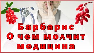 Барбарис  О чем молчит медицина