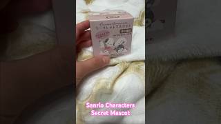 Japan Blind Box: Sanrio Characters Secret Mascot ❄️💕