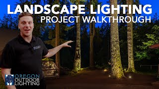 Landscape Lighting with Giant Fir Trees | Oregon Outdoor Lighting