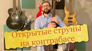 Использование открытых струн при игре на контрабасе