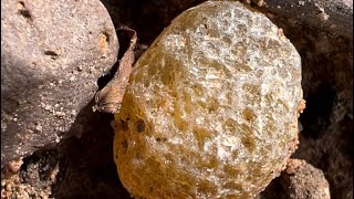 Find precioustone agates carnelian rock at the field near mountain unbelive find