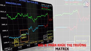 Phân khúc thị trường (Matrix) Lục chỉ cầm ma