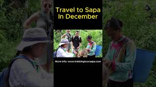 Benefits When to Travel to Sapa in December