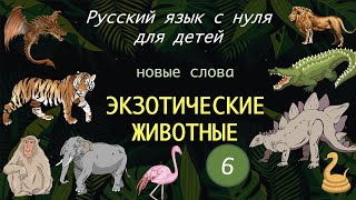 Wild animals. Животные. Русский  язык для детей. Russian for kids