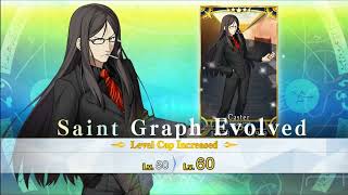 [FGO] Zhuge Liang (Lord El-Melloi II) 1-90Lv (русские субтитры)