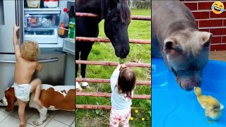 Funny animals videos 😂 Funniest CATS😺 DOGS🐕 Horse🐴 2024