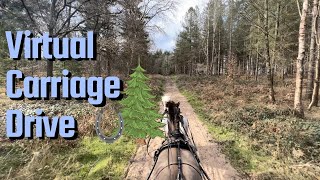 Virtual Carriage Ride- Relaxing Mindful ASMR 30 mins Forest Trail