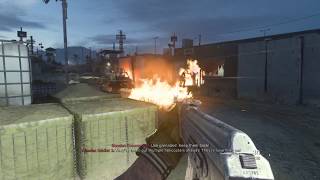 Call Of Duty Modern Warfare Ashes to Ashes Trophy