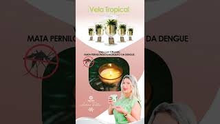 Vídeo completo aqui no canal. #diy #vela #pernilongo