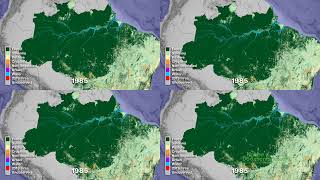 A Satellite-eye View of Three Decades of Deforestation in the Amazon