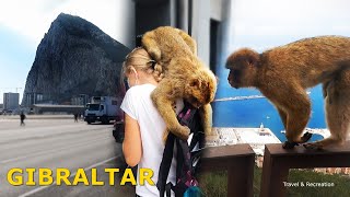 Gibraltar 2021, Gibraltar monkeys [4K]